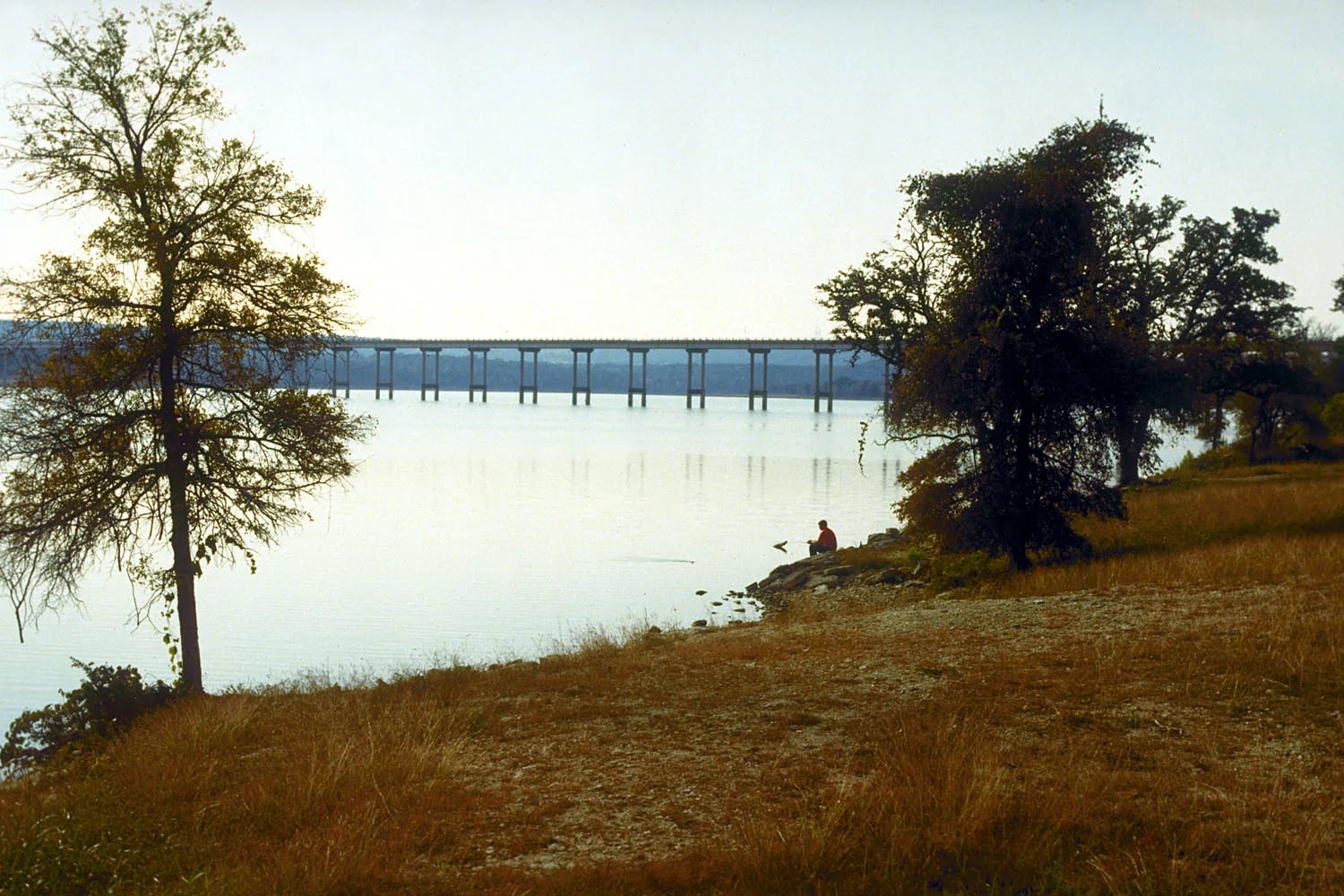 A tree-lined shore of Stillhouse Hollow Lake with the Farm Road 3481 bridge in Bell County, Texas